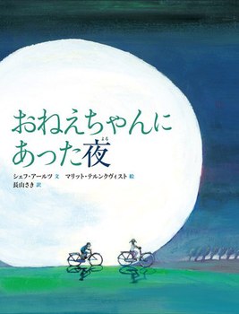 「おねえちゃんにあった夜」の絵本の画像